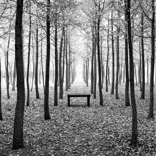 Autumn-the same place